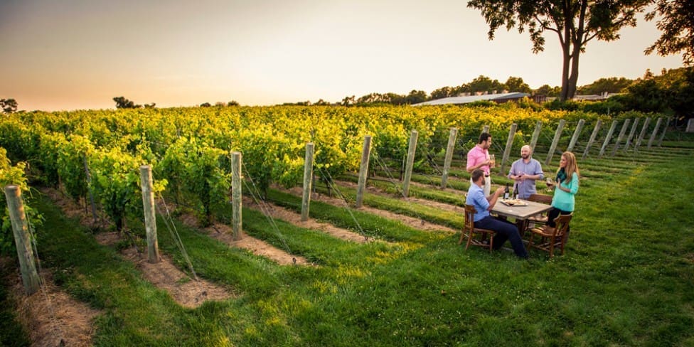 Long Island Wine Tours provided by LIAdventures.com