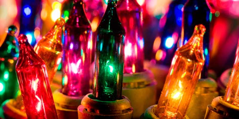 Holiday Tour Packages - Long Island Adventures