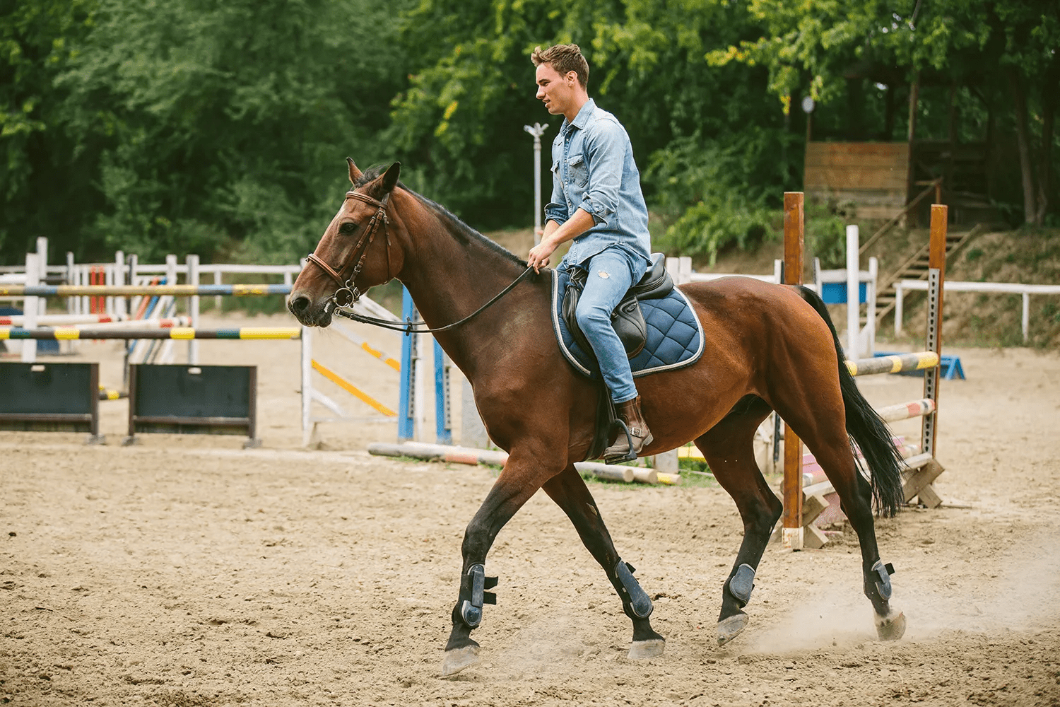 Horseback Riding Long Island NY - Long Island Adventures
