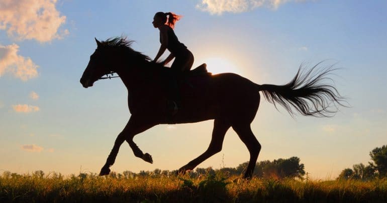 Horseback Riding - Long Island Adventures Horseback Riding - Long Island Adventures